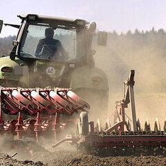 Feldarbeit 