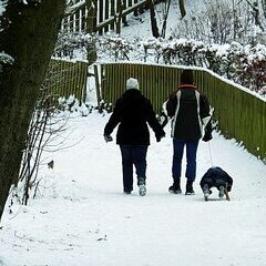Winter in der Ahe