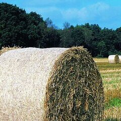 Lubricht-Feld-Strohballen