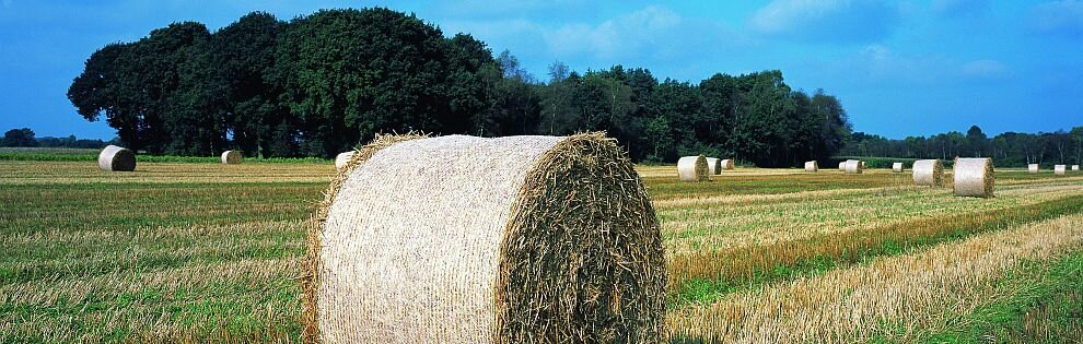 Lubricht-Feld-Strohballen